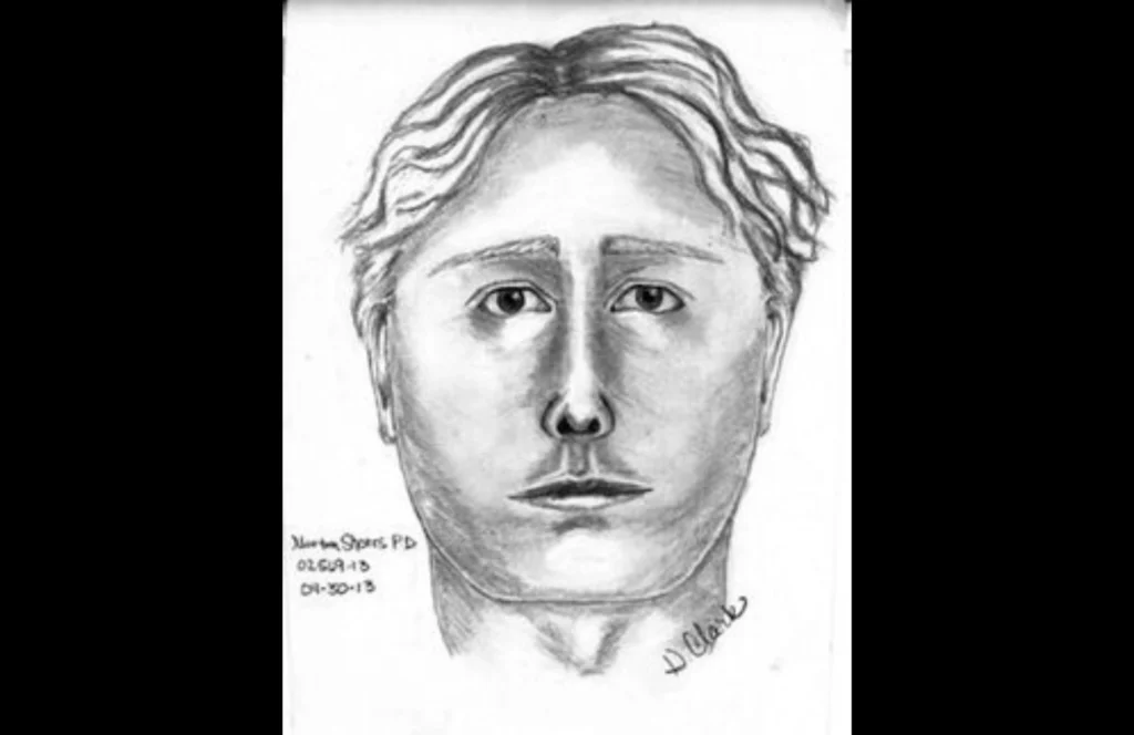 Sketch of the suspect