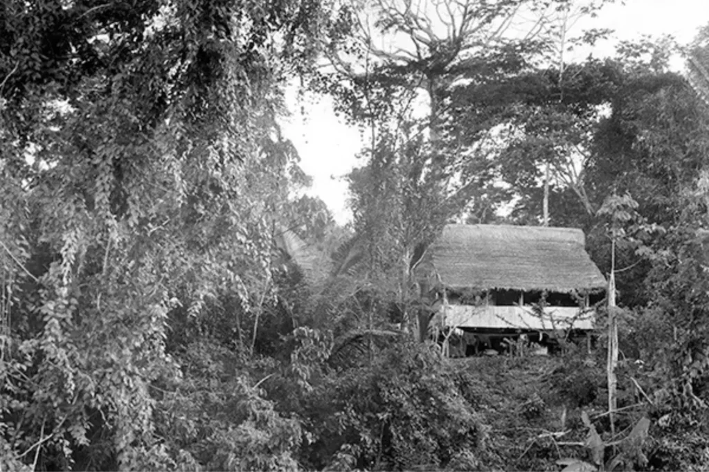Juliane’s parents built a research station in the Amazon to study local wildlife