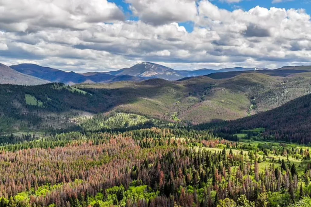 Elkhorn Mountains