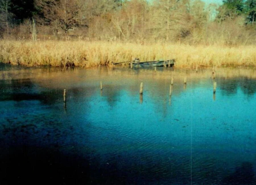 Mike Williams’ abandoned boat