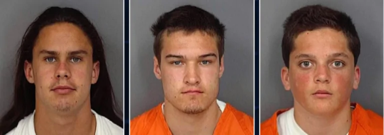 Murder of Elyse Pahler
