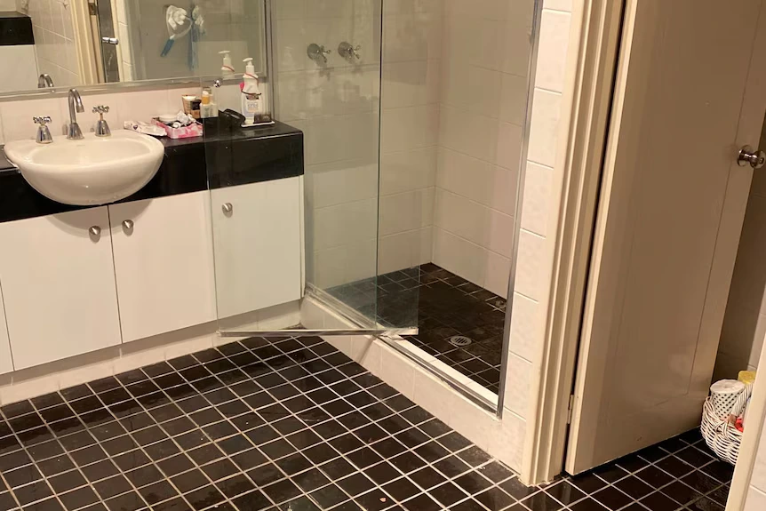 Colleen Rebelo's body was found in the bathroom of her home