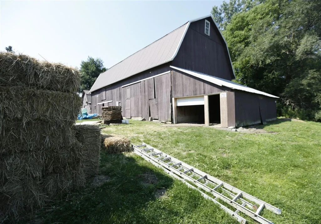 Barn